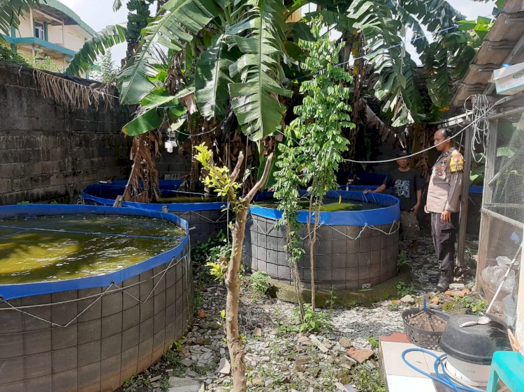Bhabinkamtibmas Desa Kureksari Semangati Warga Budidaya Lele di Lahan Kosong